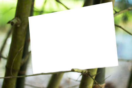 A blank white sign board leaning against a tree, Real shadow, and the background blurの写真素材