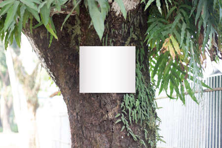 A small white sign board hanging with an old big tree and the background blur behind it.の写真素材