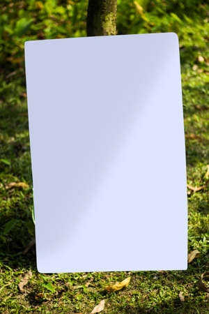 A white signboard leaning against a tree on the ground and the background behind it is blurred green.の写真素材