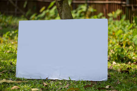 A white signboard leaning against a tree on the ground and the background behind it is blurred green.の写真素材