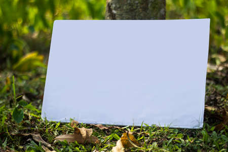 A white signboard leaning against a tree on the ground and the background behind it is blurred green.の写真素材