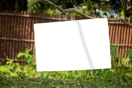 A white signboard with a tree branch is hanging and the background behind it is blurryの写真素材