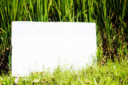 A white signboard leaning paddy tree and its background green blurredの写真素材