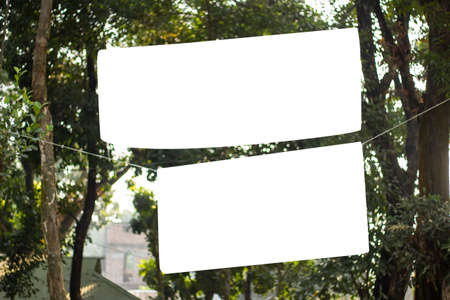 two blank white signboard hanging with a long tree and the background blur.の写真素材