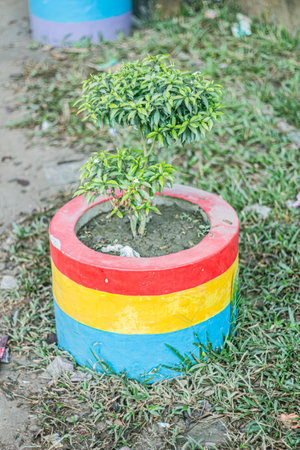 A colorful plant pot with a flowering plant inside and a blurred background