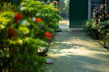 It is a road gate and around the road, there are some flower trees with flowers in bloom.の写真素材