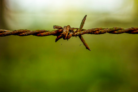 An old iron barbed wire and a black background blur behind itの写真素材