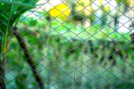 This is a net that serves as a garden fence and the background blurの写真素材