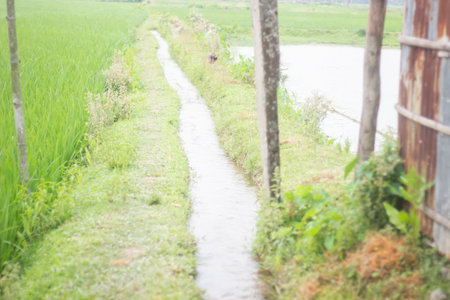 Water drain and blur backgroundの写真素材