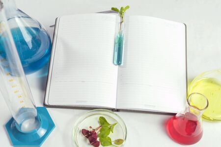 test tube with leaves on a laptop which lies on a white table. Nearby are flasks with colored liquids. Backgraund.の写真素材