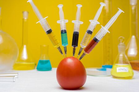 Several syringes stuck into a tomato. GMO Concept Productsの写真素材