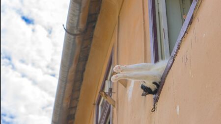 The cat lies stretching its paws, sleeping on the windowsill, an old house, against the skyの写真素材