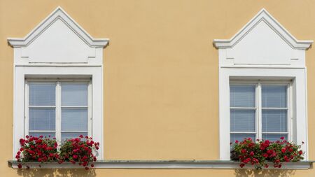 Beautiful windows with flower box and shuttersの写真素材