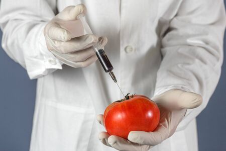 Selective focus agricultural lab worker injecting tomato with nitrates to keep it fresh, gmo. Close upの写真素材