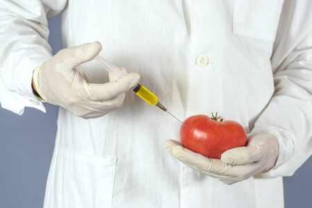 Selective focus agricultural lab worker injecting tomato with nitrates to keep it fresh, gmoの写真素材