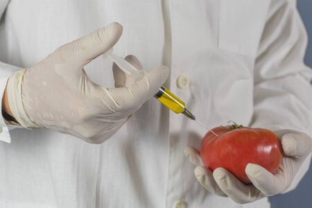 Selective focus agricultural lab worker injecting tomato with nitrates to keep it fresh, gmo.の写真素材