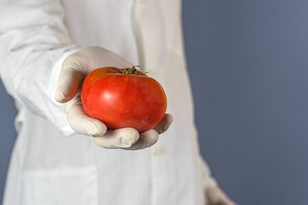 Selective focus Lab technician shows a tomato in a laboratory. Eating a Vitamin C Natural Nutrition is Better Than Using Drugs, Healthy Care Concept.の写真素材