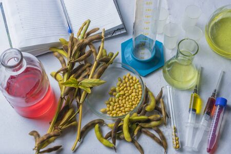Soybean, laboratory research, syringe, soybean pods and test tubes on a table with a notebook for writingの写真素材
