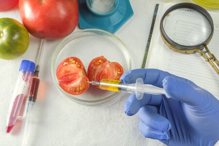 Close up of male scientist hands making test in laboratory at GMO. Nearby lies a note padの写真素材