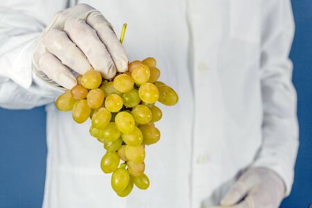 selective focus, male doctor holds grapes in his handの写真素材