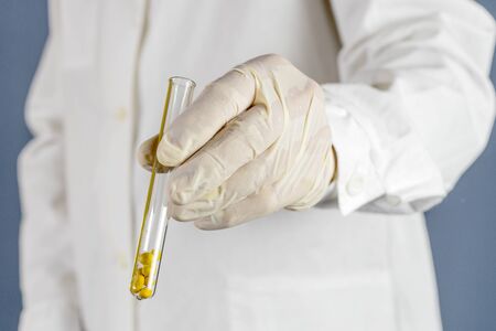 Researcher holds a test tube with soybeans. Selective focus.の写真素材