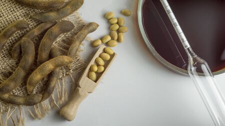 Soybeans in a wooden spoon, pods and soy sauce in a bowl on a white surface. Measuring instrument in a bowl. Top Viewの写真素材