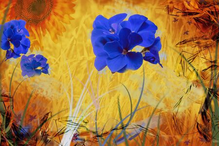 Floral abstract collage of simple summer flowers.の写真素材