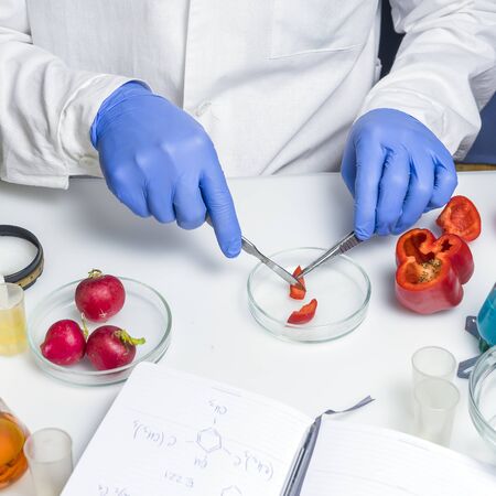 Quality control food safety inspector working in a laboratoryの写真素材