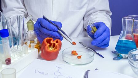 Quality control food safety inspector working in a laboratoryの写真素材