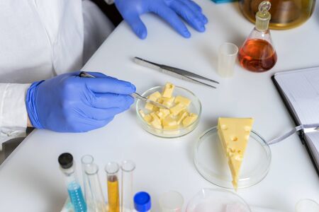 Photo Food saferty Expert inspecting cheese in quality control laboratoryの写真素材