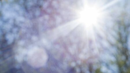 Photo Beautiful Nature Bokeh and Blurred background springtime.の写真素材