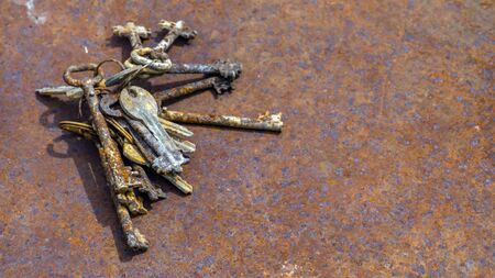 Several old rusty keys on ring shot on steel textured background.