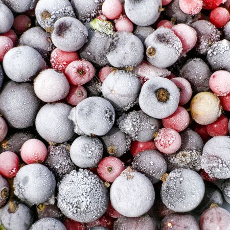Photo Close up of frozen mixed fruit - berries - red currant, cranberry, raspberry, blackberry, bilberry, blueberry, black currantの写真素材