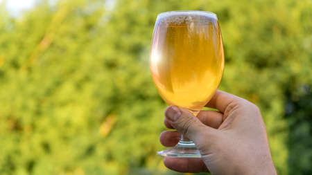 mans hand take apple cider in a glass. Camping.