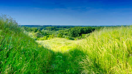 Landscape. Summer day. Blue sky without clouds.の写真素材