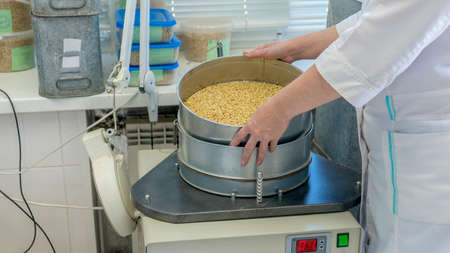 Photo Laboratory assistant in a food quality laboratory. Barley quality check