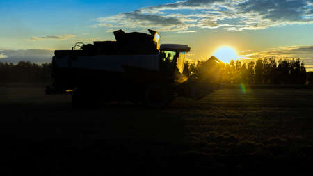 Photo combine harvester agricultural machine harvesting golden ripe wheat fields at sunset....