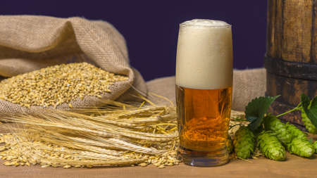 Photo still life with a vintage beer barrel and a glass of foamy beer. Green hops and golden barley on a wooden table. Ingredients for the brewery.の写真素材