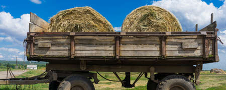 Photo two haystacks on a cart against the blue sky. Harvesting hay, dry grass