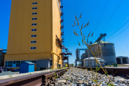 Photo Modern farm complex for storing grain, cereals, corn and oilseed rape, agriculture, cone, close-up, building, agri-businessの写真素材