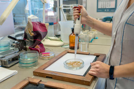 Photo Laboratory assistant in a food quality laboratory. Barley quality check