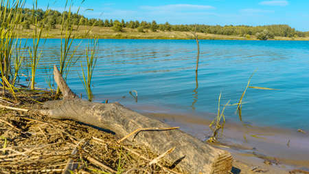 Photo summer landscape blue sky, lake for fishing. A littered tree and a fishing rod stand on the shore.の写真素材