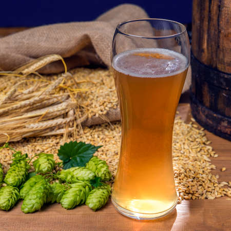 Still life with Vintage beer barrel and glass light beer. Fresh amber beer concept. Green hop and gold barley on wooden table. Ingredients for brewery. Brewing traditionsの写真素材