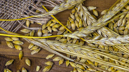 Photo barley with pearl barley against wood background