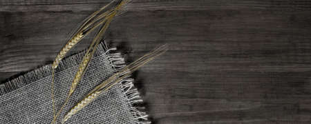 Photo barley grain in wooden background. Barley grain is raw material.の写真素材