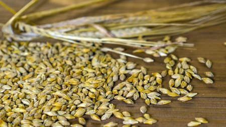 Photo ear of barley and grain on a wooden backgroundの写真素材