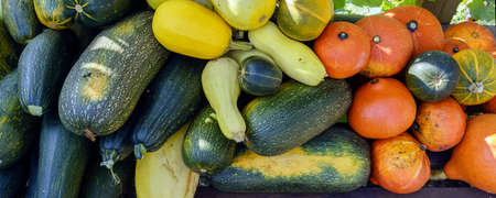 Assorted pumpkins and squashes on rustic wooden boards with an shinning autumn backdropの写真素材