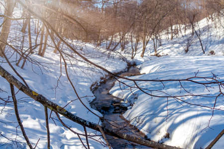 Forest ravine with a stream in winter. Winter landscapeの写真素材