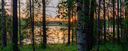 Beautiful sunset on a calm lake surrounded by forest in the taiga.の写真素材