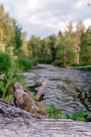 A small river in a humid dense forest on a sunny day. Between the banks there is a rushing stream of...